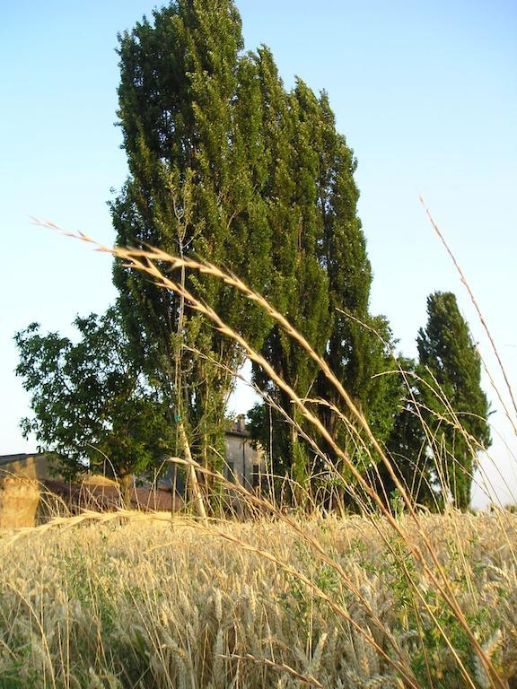 Corte Motte Pegognaga Esterno foto